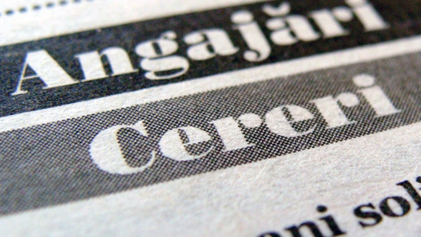 INS: Rata şomajului în formă ajustată sezonier a scăzut la 5,3% în august 2020