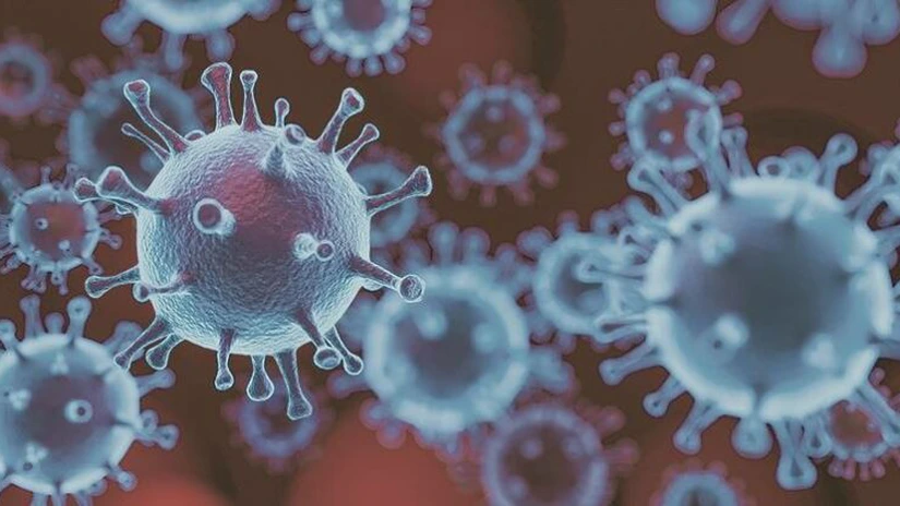 UPDATE Un pacient venit din Marea Britanie a fost confirmat vineri de institutul Matei Balș cu noua tulpină de coronavirus