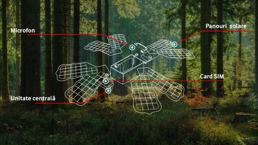 Vodafone România a lansat un proiect de monitorizare a pădurilor. Cum funcționează