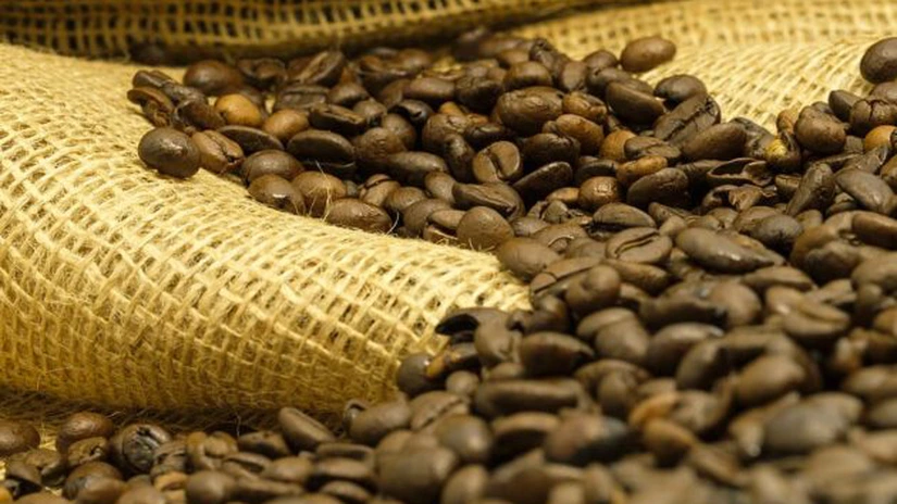 Fermierii americani au început să cultive cafea, din cauza schimbărilor climatice