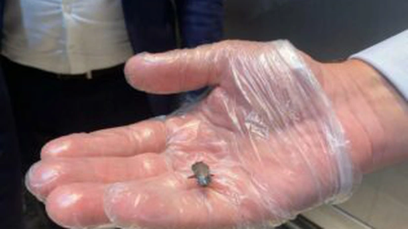 7 magazine din Ploiești ale lanțurilor Penny, Profi, Lidl și Carrefour au fost găsite cu nereguli de ANPC. Unele raioane au fost închise temporar GALERIE FOTO