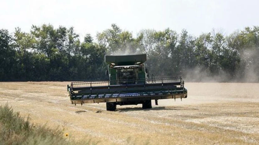 China elimină cele mai multe dintre restricțiile pentru importurile de grâu și orz din Rusia