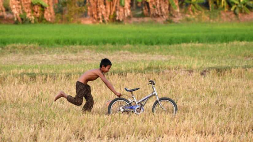 Prețurile globale la alimente au atins noi valori record în luna februarie - raport FAO