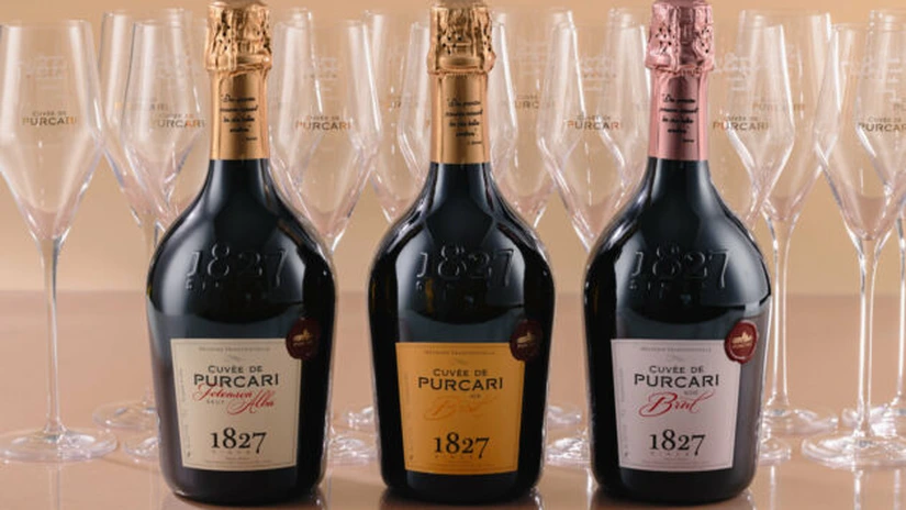 Războiul din Ucraina: activitatea Purcari nu a fost afectată semnificativ. Producătorul de vinuri vinde mai puțin de 6% către Ucraina, Rusia și Belarus