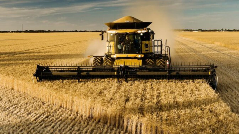 Topul exportatorilor de cereale. Trei traderi internaționali au vândut anul trecut cereale românești de 1 miliard de euro