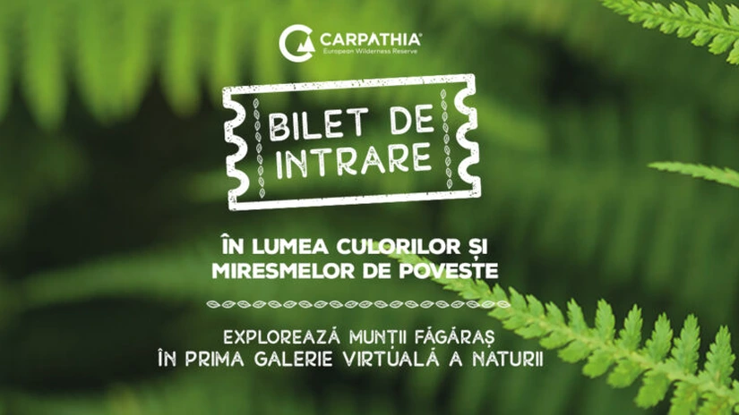 Fundația Conservation Carpathia lansează prima expoziție virtuală din România dedicată Munților Făgăraș