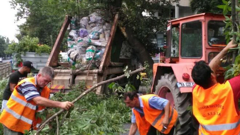 Vreme rea în București: Mai multe linii de tramvaie și troleibuze, blocate din cauza copacilor căzuți