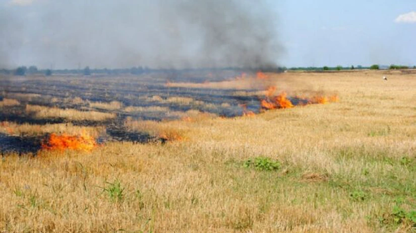 Octavian Berceanu: În șapte luni au fost arse de 10 ori mai multe hectare decât media anilor 2006 - 2021