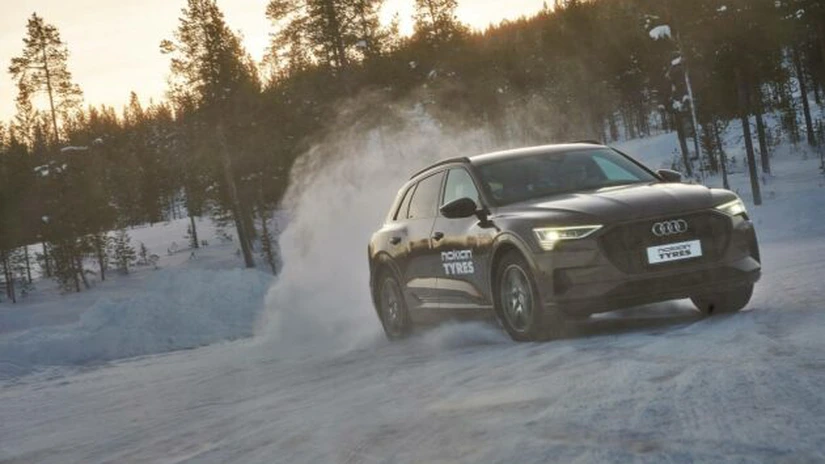 O companie suedeză a propus Nokian Tyres un cauciuc realizat din scoarță de mesteacăn