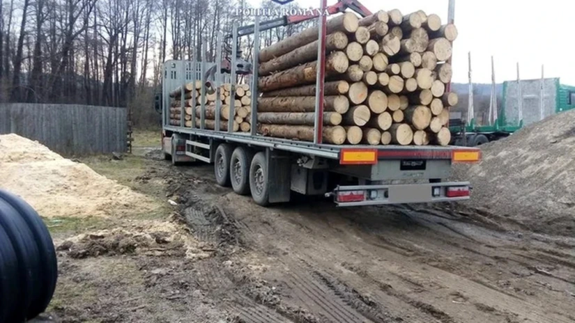 Fechet: Confiscarea mijlocului de transport este cea mai bună metodă de a opri furtul de lemne din pădure