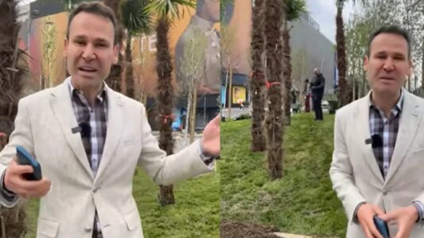 Nicușor Dan scoate palmierii de 1.000 de lei bucata puși de primarul Robert Negoiță în zona Unirii