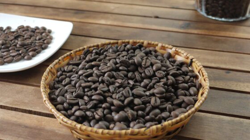 Cotația cafelei robusta a atins un maxim istoric ca urmare a apariției fenomenului meterologic El Nino