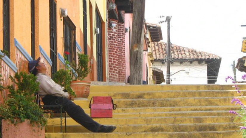 Germania - Medicii recomandă introducerea siestei pe perioada verii, după modelul consacrat în sudul Europei