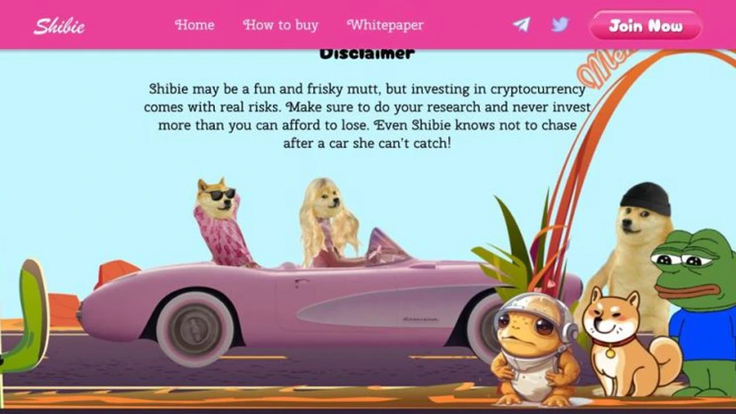 Shibie Coin - criptomoneda care poate înlocui Shiba Inu (P)