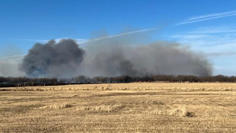 Incendiu de vegetaţie uscată, în nordul Capitalei, pe 30 de hectare. Există pericol de propagare către zona forestieră