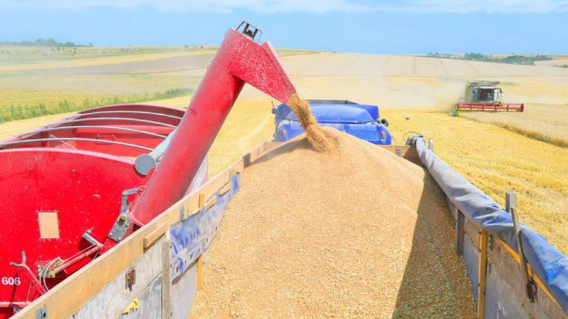 Criză cereale - Cum au fost afectate exporturile Ucrainei de embargoul impus de statele din CEE - Analiză Reuters