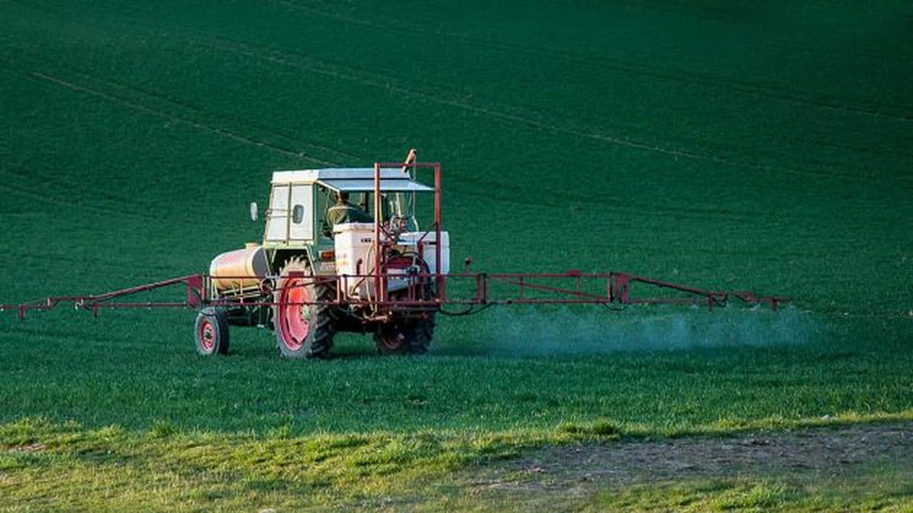 Franţa va permite fermierilor să folosească mai multe pesticide pentru a-şi proteja culturile de sfeclă de zahăr