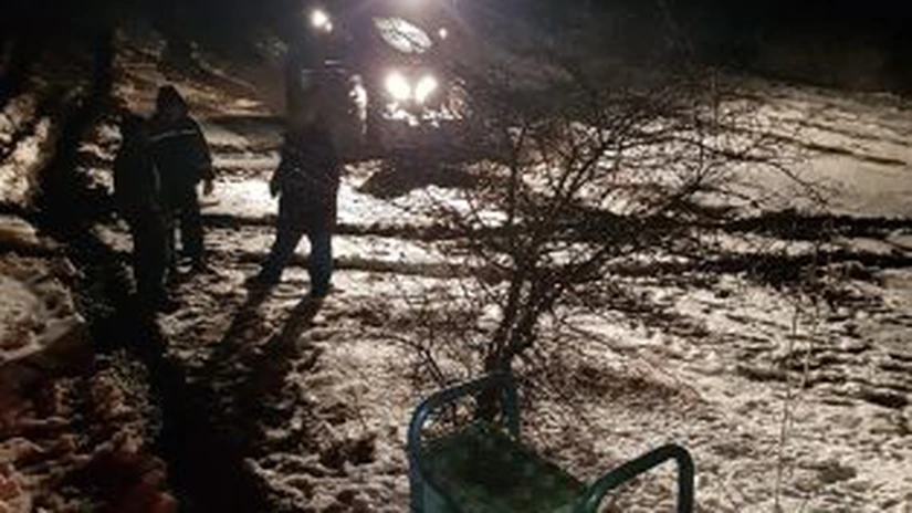 Rețele Electrice Muntenia, licitație de peste 445 mil. lei pentru mentenanța și modernizarea unor linii de medie și joasaă tensiune