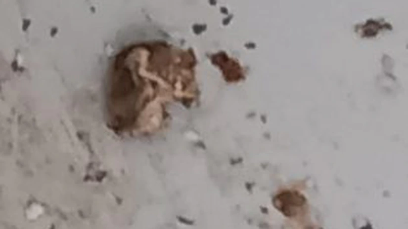 ANPC a închis activitatea și a amendat cu 15.000 de lei compania care fabrică produsele de patiserie 