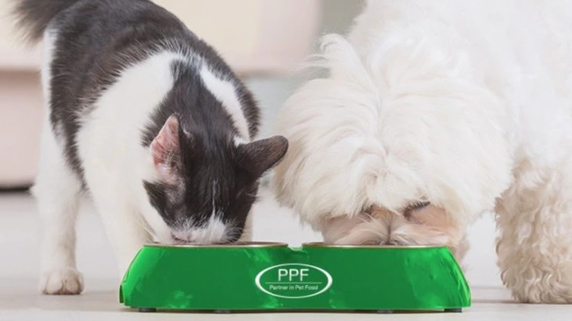 Advent International şi CVC Capital vor să cumpere producătorul de hrană pentru animale Pet Food