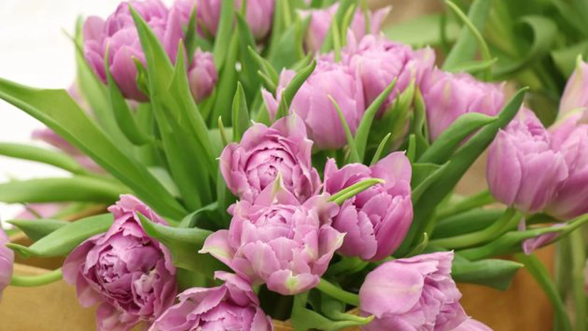 Mărţişorul şi Ziua Femeii generează un record istoric de vânzări pe piaţa florilor, peste 40 de milioane de euro - analiză