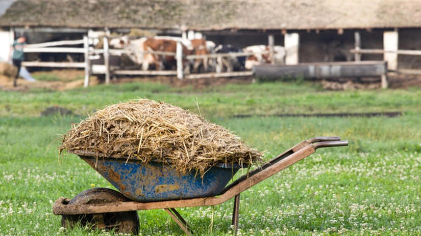 21 de milioane de euro din PNRR pentru valorificarea gunoiului de grajd. Ghidul de finanțare a fost publicat astăzi
