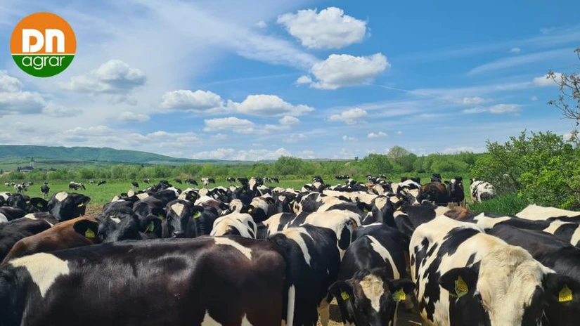 DN AGRAR Group, cel mai mare producător de lapte din România, va investi 3,4 milioane de euro în fotovoltaice și o fabrică de compost