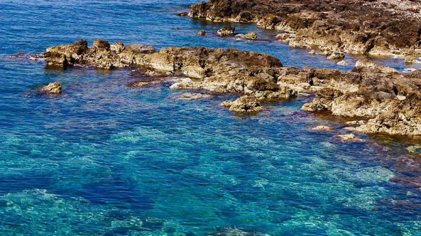 Mai mult de o treime din zonele umede mediteraneene sunt ameninţate de creşterea nivelului mării - studiu