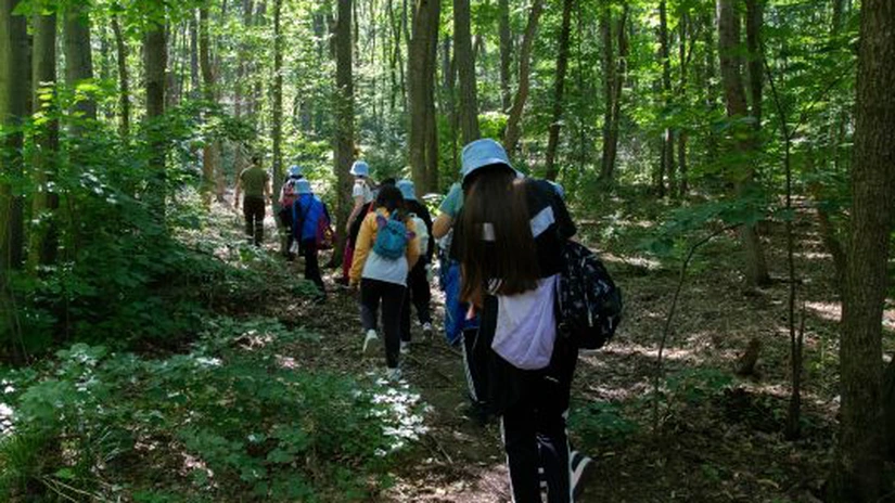 Asociația MaiMultVerde amenajează cinci poteci tematice pentru educație de mediu de-a lungul Dunării și al afluenților săi