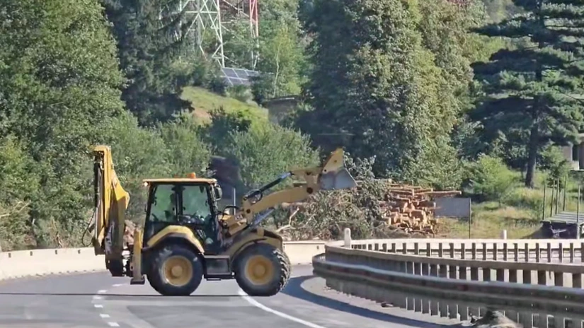 Valea Oltului, închisă. Ziua 8: A fost defrișată 30% din suprafața necesară viitoarei autostrăzi