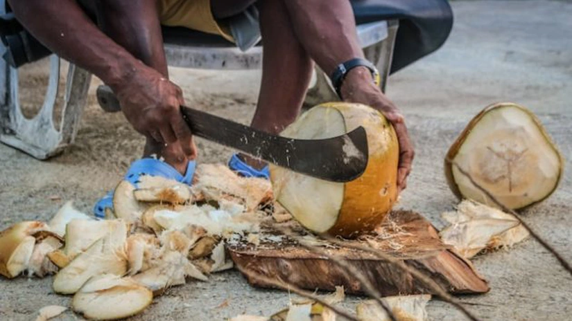 Țările UE au importat cocos de 146 milioane de euro. De unde provine cel mai mult cocos