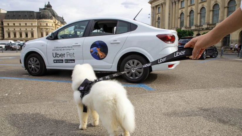 Uber lansează Uber Pet, pentru cei care se deplasează cu animalele de companie. Cât costă și care sunt condițiile de călătorie