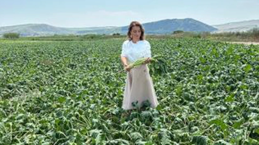 Mihaela Neagu, proprietara Fabricii de Zahăr Luduș: În România nu există cerere de melasă și borhot