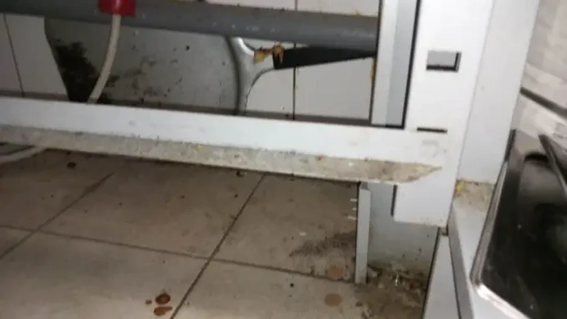 ANPC a amendat cu 18.000 de lei un restaurant din Eforie Nord și i-a oprit temporar activitatea