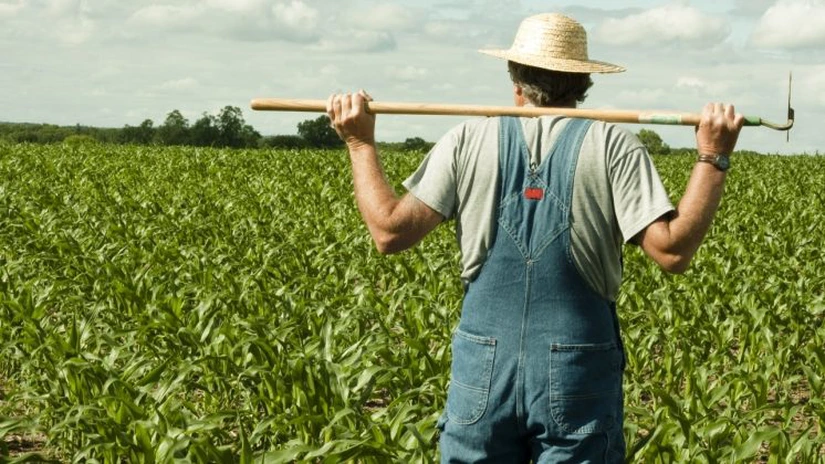 Agricultura, grav afectată de măsurile din „Ordonanța-Trenuleț” - asociații