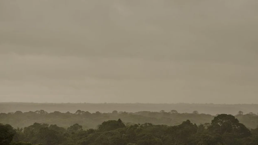 Amazonia a pierdut în mai puţin de 40 de ani o suprafaţă aproape echivalentă cu cea Columbiei, din cauza defrişărilor