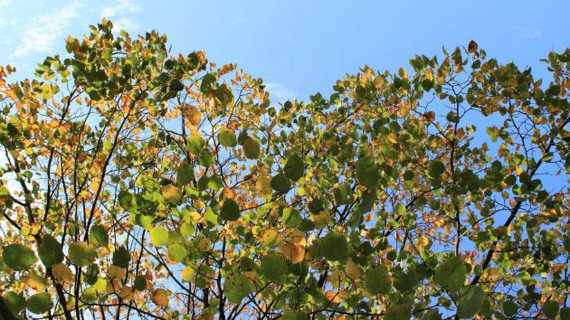 ANM: Vreme călduroasă cu precipitaţii reduse în prima lună de toamnă. 43,5 grade, recordul de temperatură, în septembrie