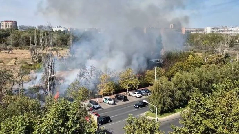 Incendiu în Parcul IOR din Bucureşti