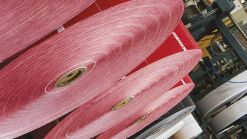 EXCLUSIV Producătorul de pungi din hârtie Romanbag Production închide fabrica din Dej. 57 de angajaţi au fost concediaţi colectiv