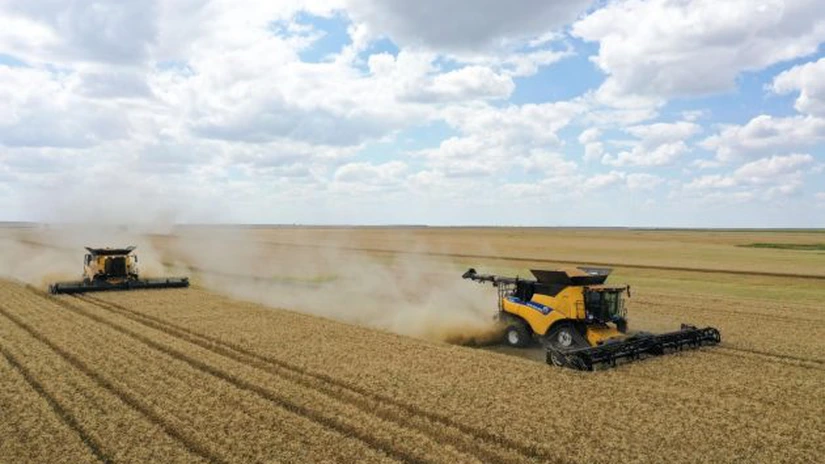 Holde Agri Invest a primit un împrumut de 1,5 milioane de lei de la unul dintre acționarii săi, ca parte a strategiei de redresare a grupului