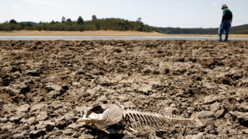 Ce zone din România sunt afectate de seceta extremă