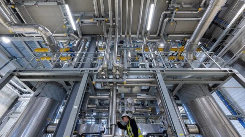 Harta succesului în afaceri. Cele mai tari și cele mai slabe firme din România. Unde se face profitul și unde bântuie falimentul?