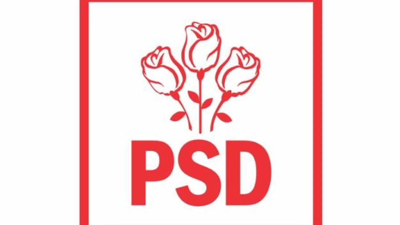 PSD şi-a prezentat programul de guvernare în domeniile tineret şi demografie