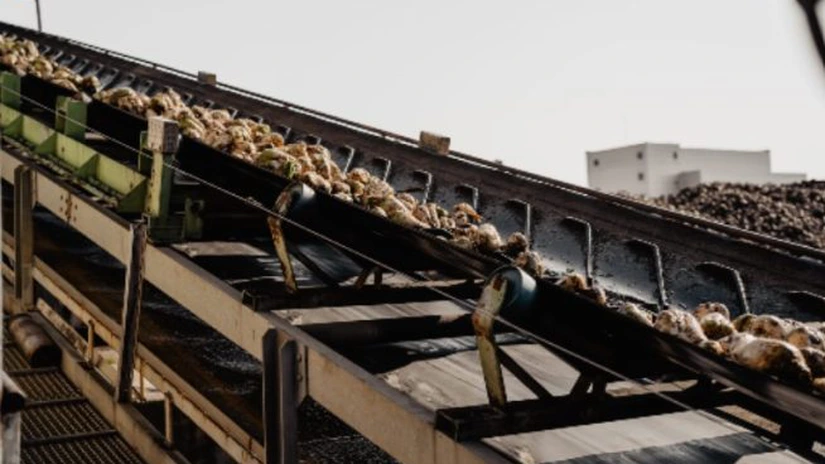 România, între importuri și producția de zahăr