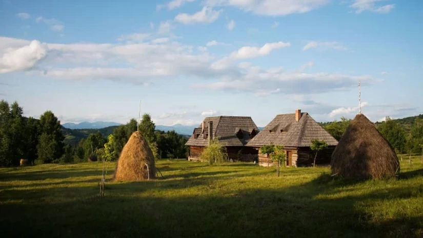 Domeniu de 94 de hectare, scos la vânzare în Maramureș