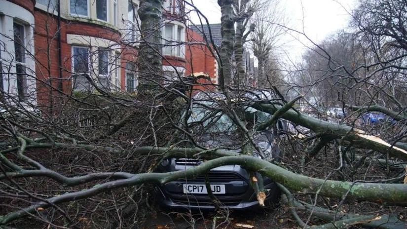 IGSU a informat că în urma furtunilor recente au apărut probleme în 81 de localități din 19 județe