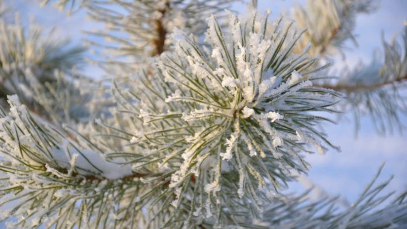Ninsoare pe unele drumuri din România în județele Braşov, Harghita, Neamţ, Prahova, Suceava şi Vaslui