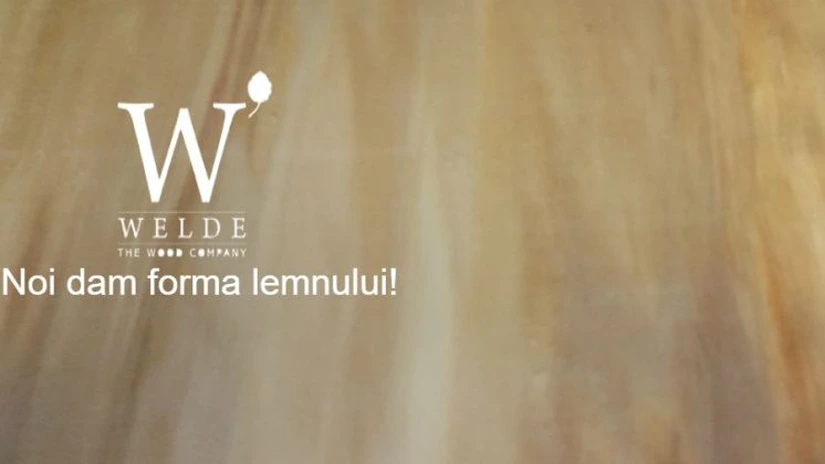 Producătorul de furnir Welde Cernavodă, cu afaceri de peste 5 milioane de euro în 2023, se închide