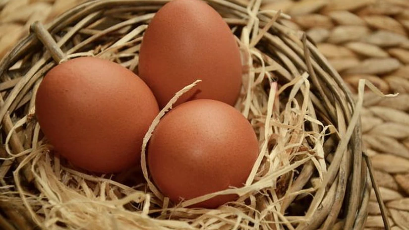 Brazilia își va dubla exporturile de ouă în acest an, în contextul unei crize de aprovizionare în SUA ca urmare a epidemiei de gripă aviară
