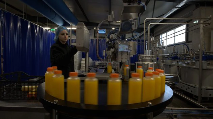 Grupul Microfruits, cu afaceri în producția și distribuția de legume și fructe, investește 100 de milioane de euro în expansiune